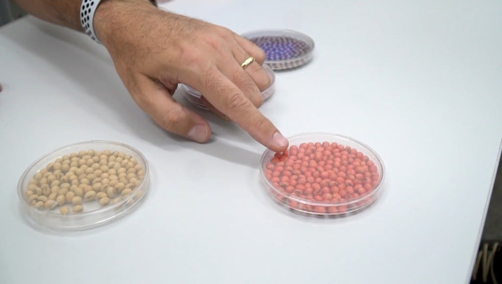 tratamento de sementes foto reprodução basf